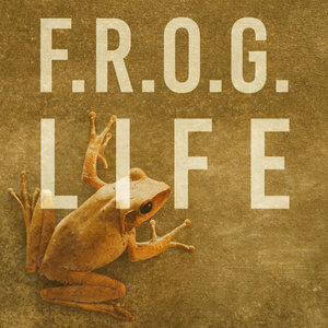 froglifesquare